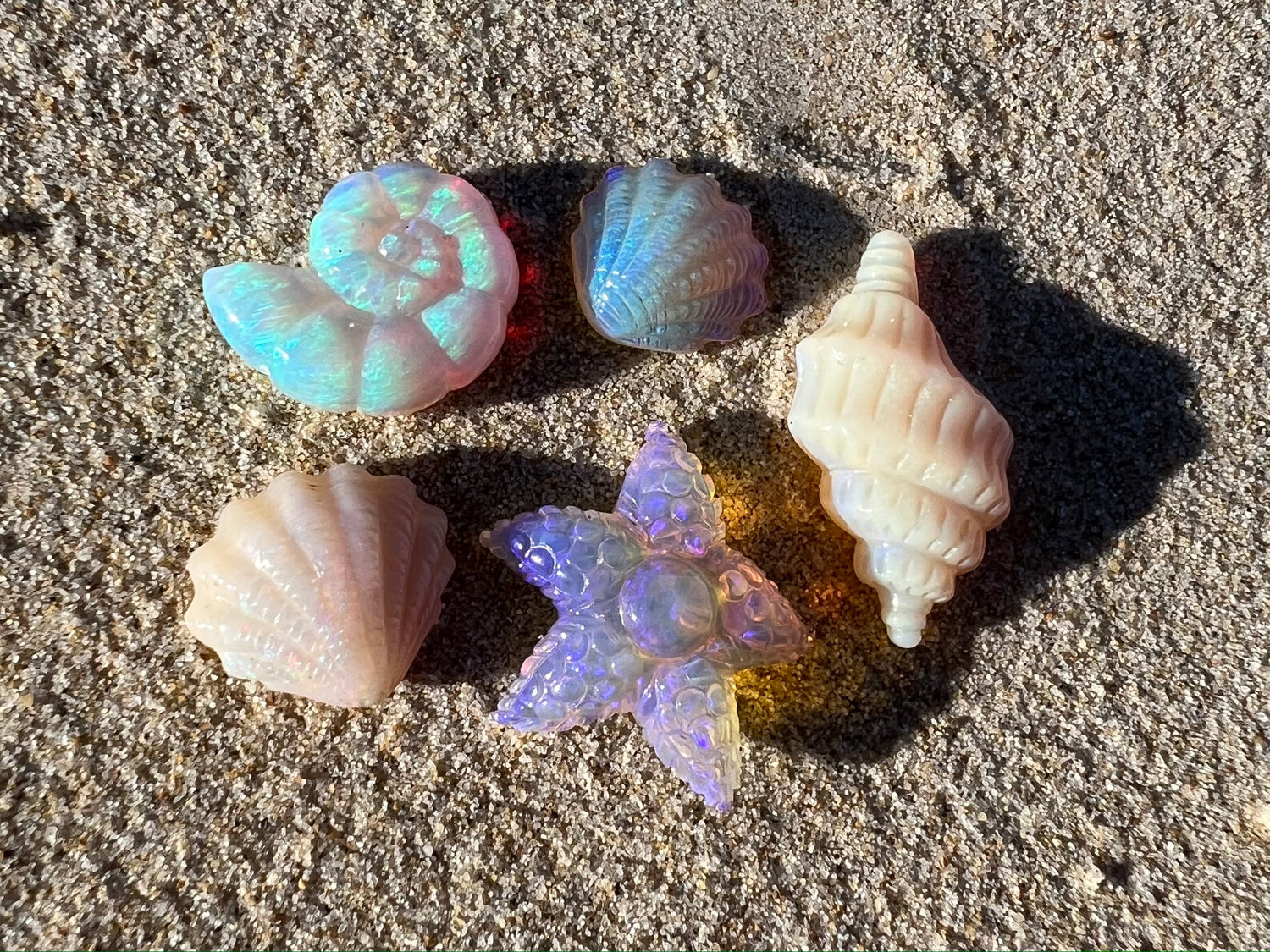 Shells, starfish and spirals