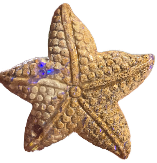 Exquisite 27.53 Ct Australian Boulder Opal Matrix Starfish Carving