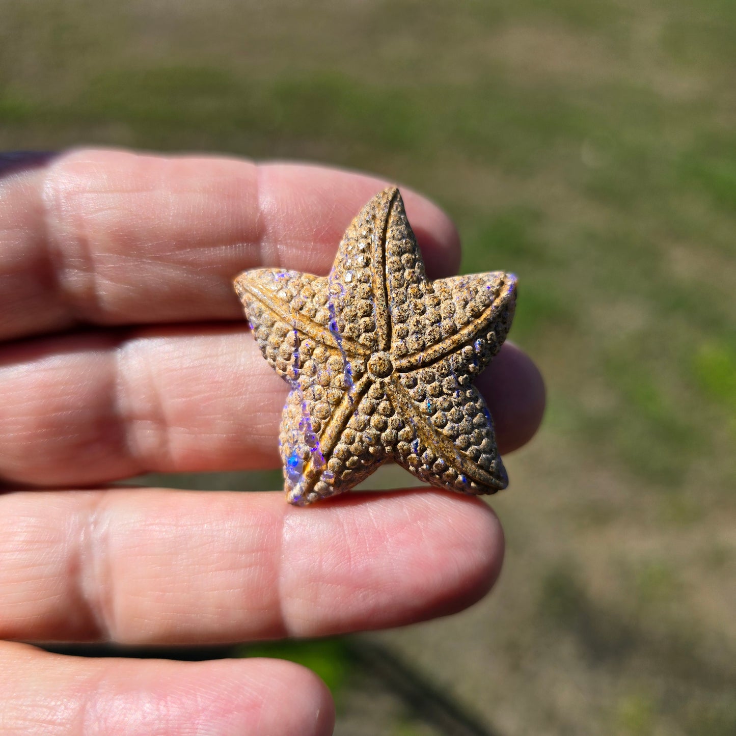 Exquisite 38.22 Ct Australian Boulder Opal Matrix Starfish Carving