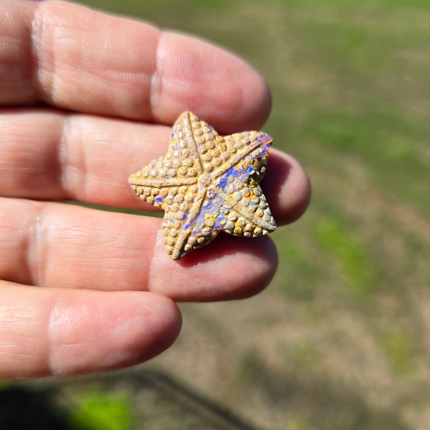 Exquisite 23.63 Ct Australian Boulder Opal Matrix Starfish Carving