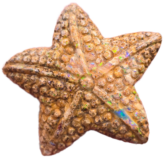 Exquisite 26.18 Ct Australian Boulder Opal Matrix Starfish Carving