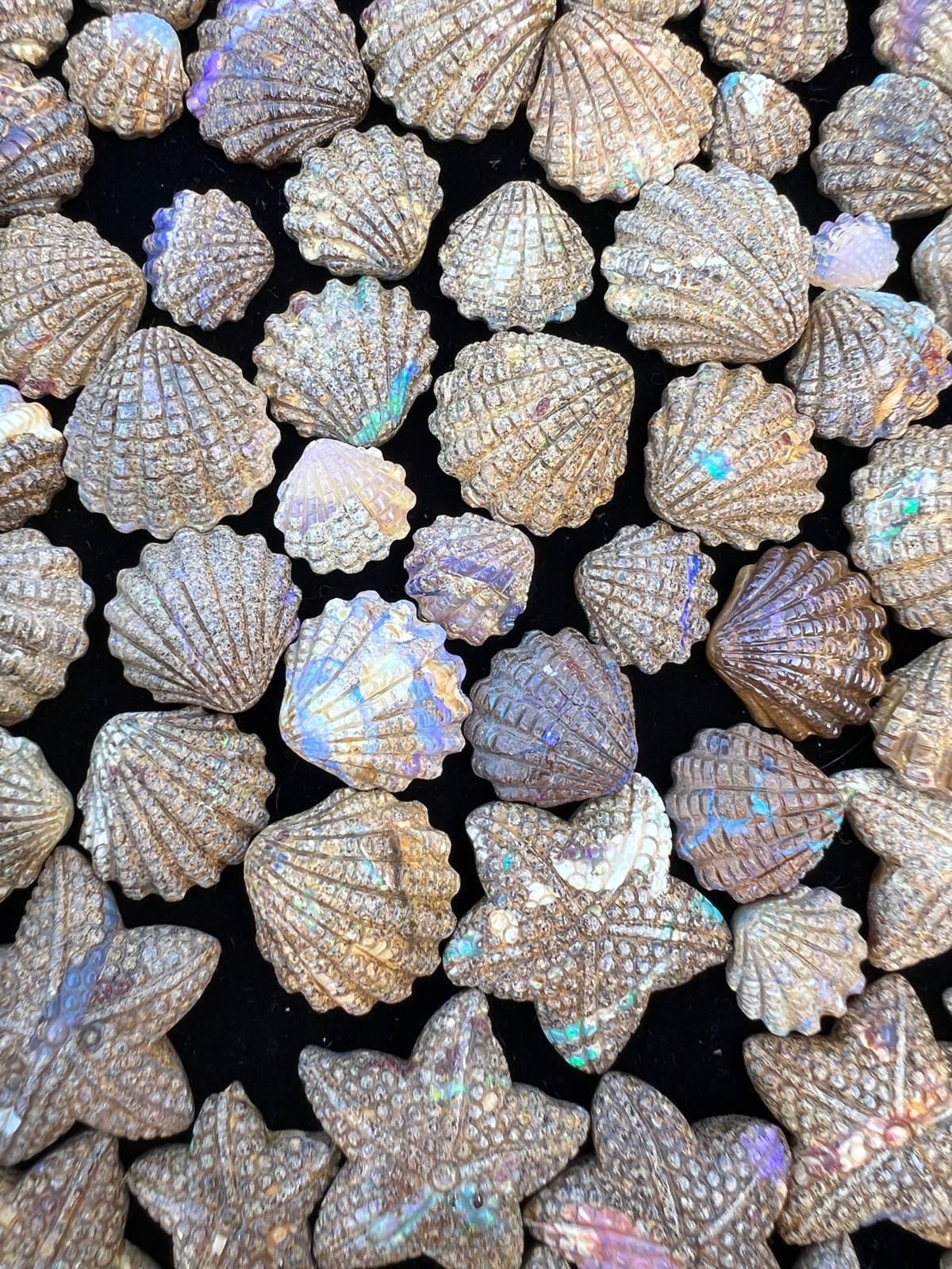 Exquisite 39.58 Ct Australian Boulder Opal Matrix Scallop Shell Carvings: Parcel of 3